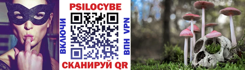 Галлюциногенные грибы Magic Shrooms  Купить  Владикавказ 